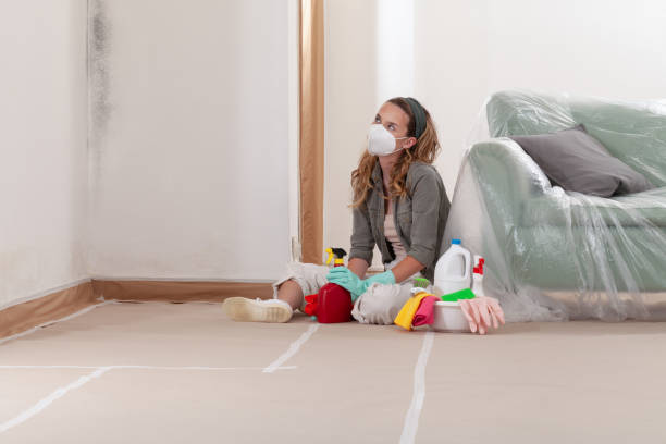 Reliable Mold Remediation contractor in Leonardtown, MD by WQB Mold Removal